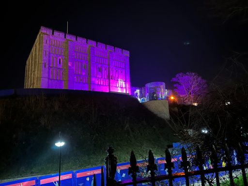 Up lighting A castle illuminated in purple light at night, set against a dark sky.